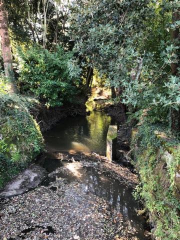 Gite Du Moulin De La Virvee Saint-André-de-Cubzac 外观 照片